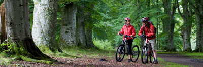 Mountain bikers
