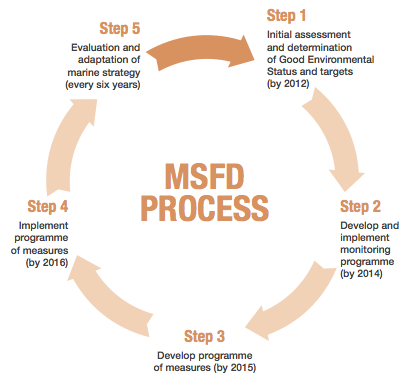 Process and timemline for implementation of the MSFD