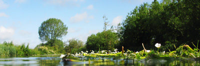 A water’s eye view of the River Kennet, England