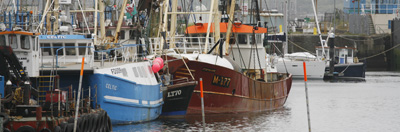 Fishing boats in harbour