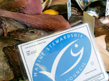 Buy sustainable MSC fish