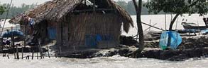 House threatened by rising sea levels in the Sundarbans National Park, Bangladesh