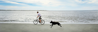 Man and dog running on beach