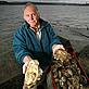 Lough Larne, oysterman