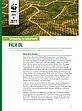 Palm oil