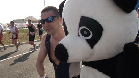 Panda at triathlon