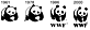 Evolution of the panda logo © WWF