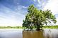 © WWF-Brasil / Sergio Amaral Photos from the Paraguay River basin Photos from the Paraguay River basin