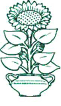 Parkwalk logo