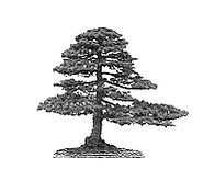 Parkwood Hall Logo