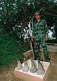 A soldier stands guard over four rhino horns seized from poachers. Terai Arc, Nepal - © Jeff Foott / WWF-Canon A soldier stands guard over four rhino horns seized from poachers. Terai Arc, Nepal