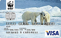 MBNA Visa card - Polar bear