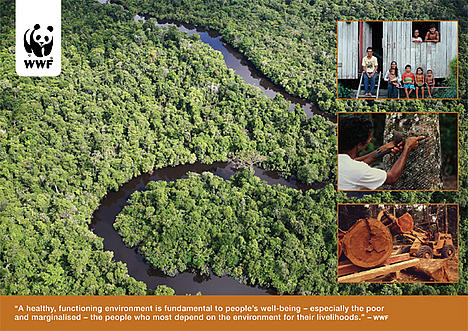 Learn poster Summer 2010 poster graphic