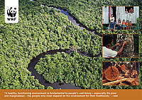 Learn poster Summer 2010 poster graphic