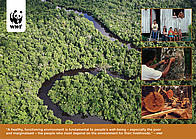 Learn poster Summer 2010 poster graphic
