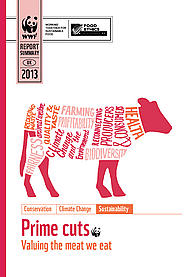 Document cover for 'Prime cuts: valuing the meat we eat' summary