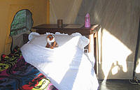 River camp - Nepal diary