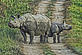 © WWF / Christy Williams Greater one-horned rhino and calf