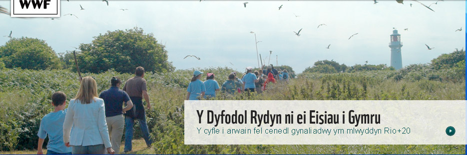 Ynys Echni - baner