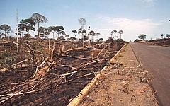 Deforestation along road between Rio Branco and Xapuri, Acre, Brazil © Edward Parker / WWF-Canon Deforestation along road between Rio Branco and Xapuri, Acre, Brazil