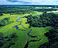 Rio Negro forest reserve, Amazonas, Brazil © WWF-Canon / Michel Roggo