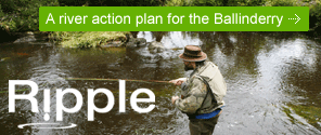 A river action plan for the Ballinderry