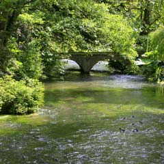 River Itchen Jiri Rezac