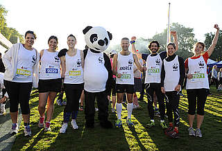 Team Panda at RPFHM 2013 - Tristan Fewings Team Panda at RPFHM 2013