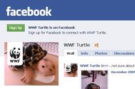 turtle facebook