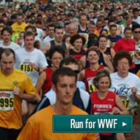 Run for WWF