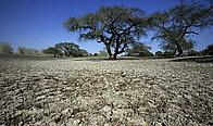 Dry river bed
