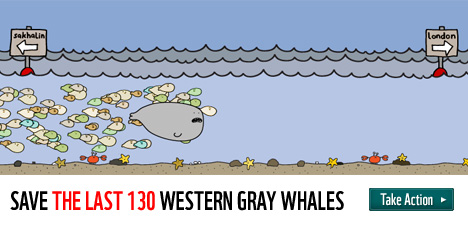 Save the last 130