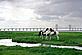 Severn estuary © Richard Wilson / WWF-UK
