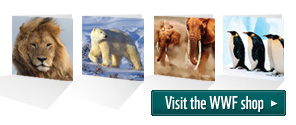 WWF Shop Cards © WWF WWF Shop Cards