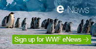 Sign up for WWF eNews