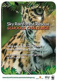 Sky rainforest rescue schools challenge flyer