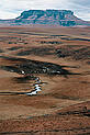 The Wilge River wetland is near the lip of a major escarpment, near the foothills of the Drakensberg mountain range. Lush in summer, it turns dry and fawn in winter. This area is home to a number of highly endangered animals like the Wattled Crane (Bugeranus carunculatus) and the White-Winged Flufftail (Sarothrura ayresi). The frost kills most trees here, so grasses thrive. Grasslands are critical ecosystems for South Africa as they are often associated with wetlands and catchments, and only 3% of the biome is formally conserved. Republic of South Africa - © Chris Marais / WWF-Canon The Wilge River wetland is near the lip of a major escarpment, near the foothills of the Drakensberg mountain range. Lush in summer, it turns dry and fawn in winter. This area is home to a number of highly endangered animals like the Wattled Crane (Bugeranus carunculatus) and the White-Winged Flufftail (Sarothrura ayresi). The frost kills most trees here, so grasses thrive. Grasslands are critical ecosystems for South Africa as they are often associated with wetlands and catchments, and only 3% of the biome is formally conserved. Republic of South Africa
