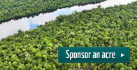 Sponsor an acre