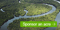 Sponsor an acre