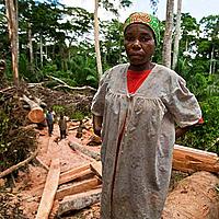 Woman at a WWF-supported community forest project, East province, Cameroon - © Brent Stirton / Getty Images / WWF-UK Woman at a WWF-supported community forest project, East province, Cameroon