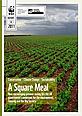 A Square Meal - Report