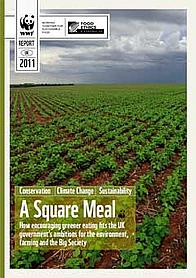 A Square Meal - Report