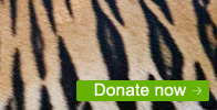 Donate now
