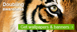 Get wallpapers and banners