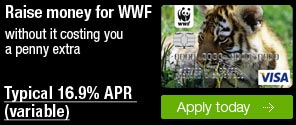 MBNA Visa card banner - Tiger