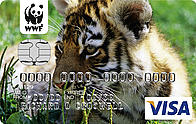 MBNA Visa card - Tiger 