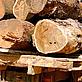 Logs on lorry