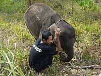 Tommy and mahout