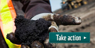 Take action on toxic fuels