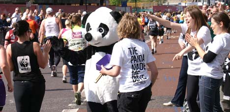 Running event. The panda made me do it